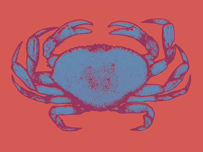 Crab Illustration