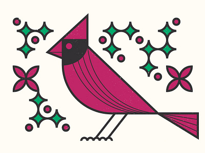 Holiday Cardinal cardinal christmas design illustration