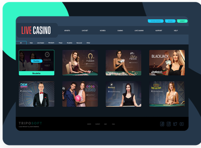 Online casino software platforms