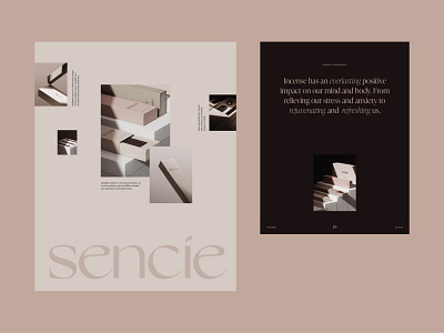 SENCIE branding illustration layout logo logotype minimal muted colors visual identity