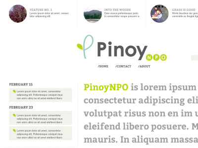 PinoyNPO Site Draft design non profit philippines web
