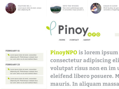 PinoyNPO Site Draft