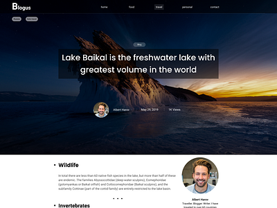 Travel blog concept