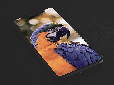 Free iPhone XS Mockup Template