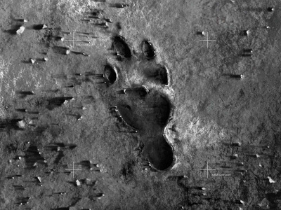 Footprints on the Moon footprint graphic design illustration illustration art kobufoundry moon procreate procreate art rabbit tsuku typedesign typeface typogaphy