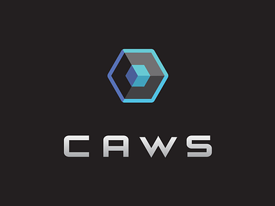 CAWS cube eye hexagon security
