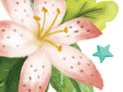 Lillies commission flower hand drawn illustration leaves lillies painted painting photoshop pink star