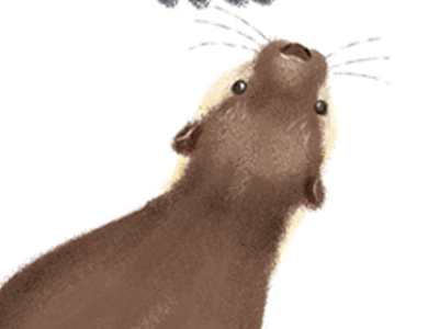 Otter snapshot animals aquatic brushes illustration otter painted photoshop scottish texture wildlife