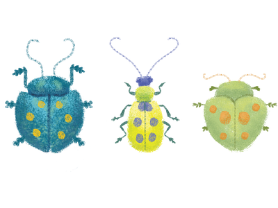 Beetles alex ashman beetle beetles digital illustrations illustrator insect painting photoshop
