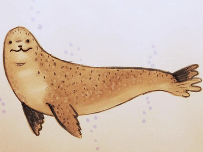 Leopard seal sketch