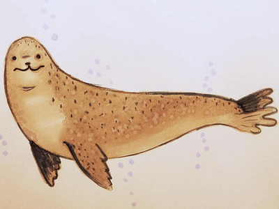 leopard seal drawing