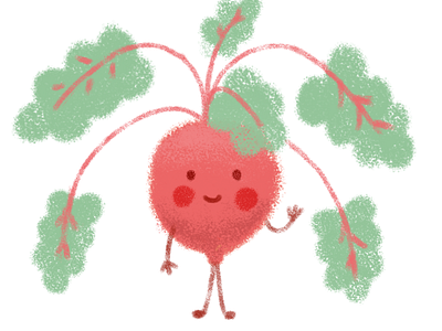 Beetroot beet beetroot buddy character character design vegetable