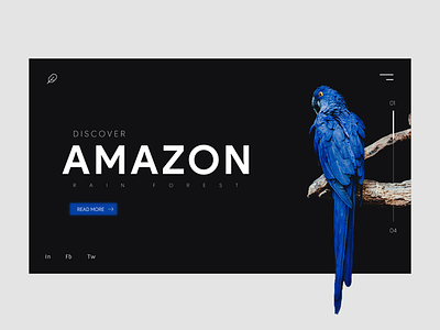 Discover Amazon