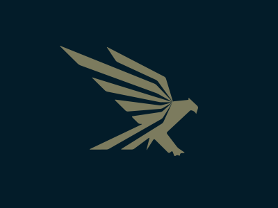 Eagle Logo Mark america bird eagle hawk logo mark minimal