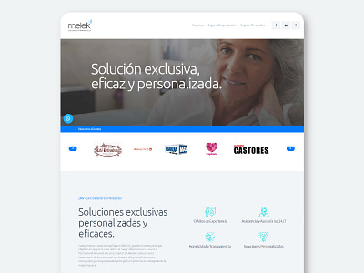 Melek - Web design design graphic design landing page web design