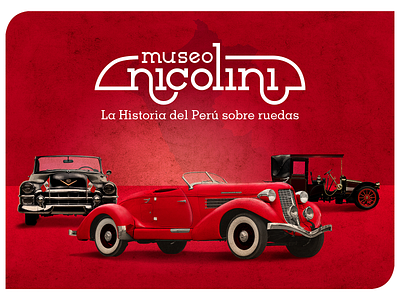 Museo Nicolini - Key Visual branding design logo