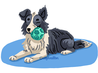 Petplan website illustration dog dog behaviour editorial editorial illustration funny pet illustration pet website illustration