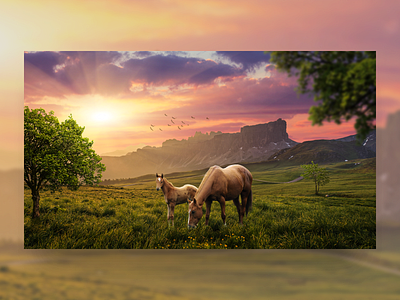 Matte Painting adobe photoshop advertising artwork collage art design designer digital art horses illustration matte painting nature photo manipulation photoshop ui ux webdesig