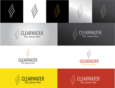ClearwaterTSP Logo branding design icon logo minimal