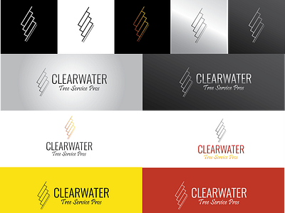 ClearwaterTSP Logo