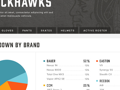 NHL Equipment Database blackhawks chicago clean database halftone hockey nhl numbers pie chart texture