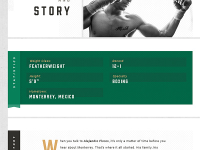Fighter Profile black and white borders contrast dividers gold green grid halftone history mixed martial arts mma sections split statistics template texture theme white space