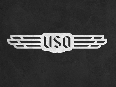 USAviator apparel aviation badge flight flying geometrical logo design sharp united states of america wings