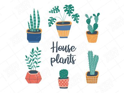 House plants. Vector illustration cacti cactus cartoon collection decor design domestic doodle flat flower hand drawn house plant illustration monstera nature plant scandinavian succulent vector