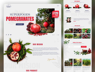 Introduction to Pomegranate Farm app brand design homepage interface responsive ui ux web website design