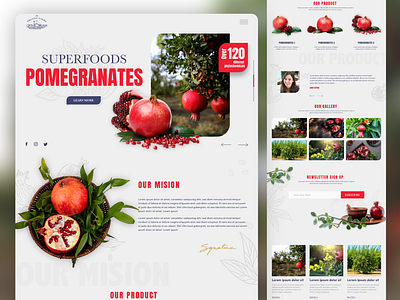 Introduction to Pomegranate Farm