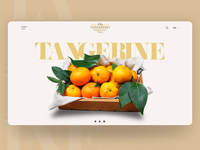 The tangerine :) brand bussines design ecommerce homepage product ui ui web ui web design ui website ux website