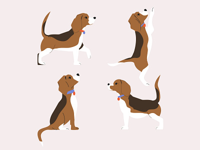 It is the Beagle =) animal beagle branding design dog flat illustration illustrator jump minimal vector