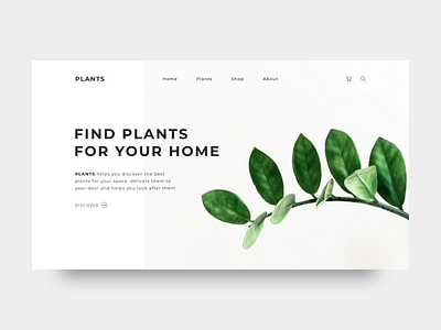Homepage Plants_01 design homepage homepage ui illustration minimal plant plants plants app plants homepage typography ui ux web website