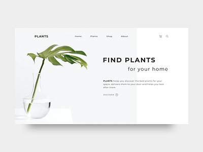 Homepage Plants_02 design homepage homepage ui minimal plant plants plants homepage typography ui ux