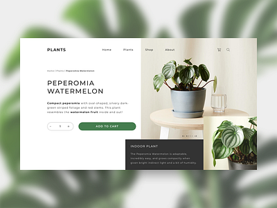 Product page design minimal plants plants app product product page typography ui ux web