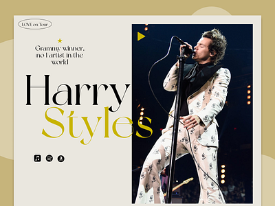 Harry Styles - Website Intro Concept