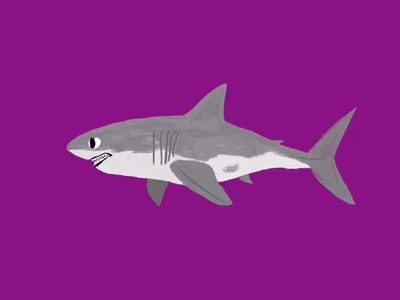 G.W Shark animation fincycle illustration jaws loop procreate shark swim