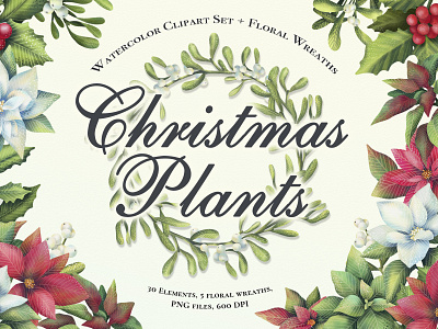 Christmas Plants. Watercolor clipart set.