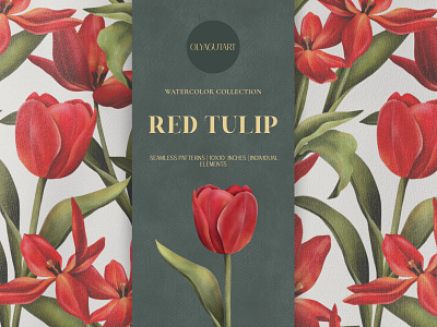 Red Tulip. Watercolor collection. Pattrens & clipart set.