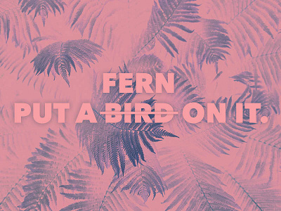 They're everywhere. bird fern hipster plants put a bird on it trend typography