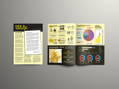 Annual Report: 103.3 Asheville FM (2017) annual report bifold brochure charts vector art