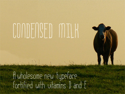 Condensed Milk Typeface chank condensed cow font hand milk type typography