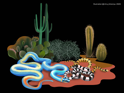 "Bad company" Beautiful nature series black cactus colorful creative illustration desert illustration nature print snakes vector