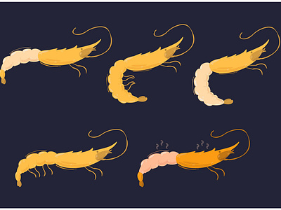 Prawn Shrimp Illustration