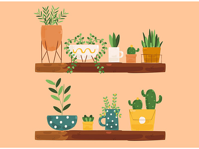Houseplants Illustration cactus decoration flower houseplant illustration indoor plant tree tropical vector