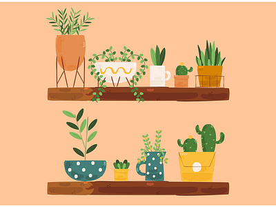 Houseplants Illustration