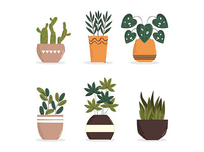 Set of Decorative Houseplants Illustration cactus decoration flower green houseplant illustration palm tree tropical vector