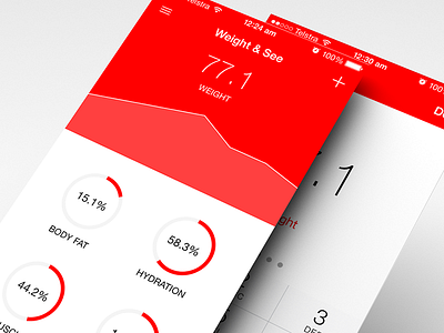 Weight & See App app ios7 weight
