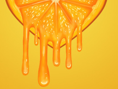 Loves Orange illustration oranges