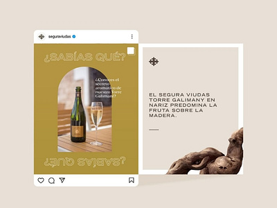 SM Segura Viudas advertising brand identity branding cava cava brand champagne graphic design instagram layout design social media ui